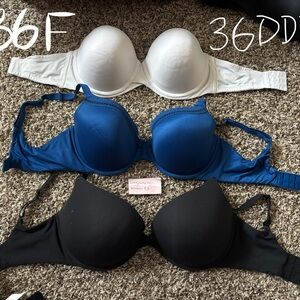 36F bra sale